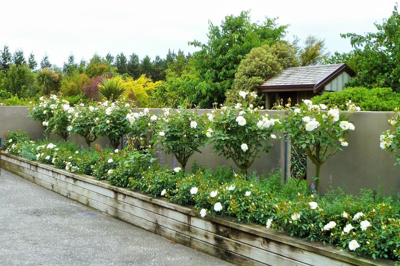 Belle Maison French Country Stay นิวพลีมัธ ภายนอก รูปภาพ